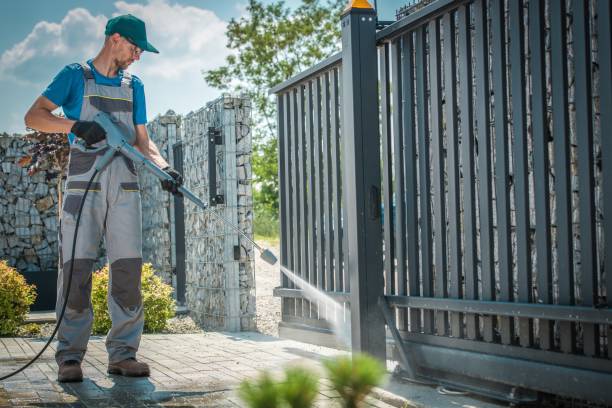 Best Soft Washing  in Port Norris, NJ